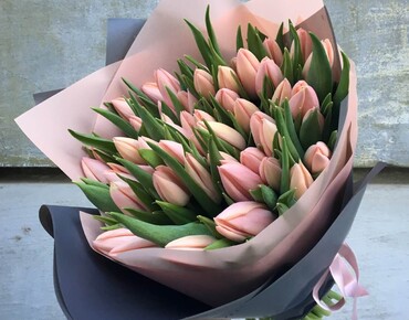 Congratulations on International Women's Day!